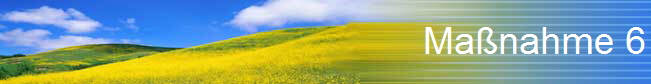 Ma�nahme 6