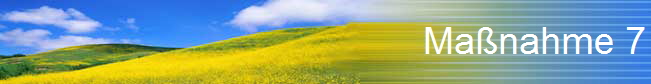 Ma�nahme 7