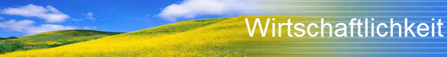 Wirtschaftlichkeit