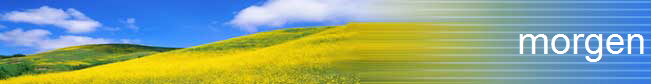 morgen